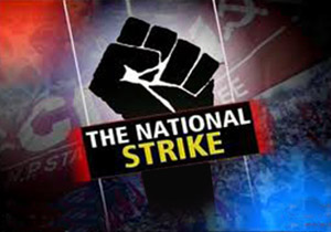 all india strike-feb 20,2013-1